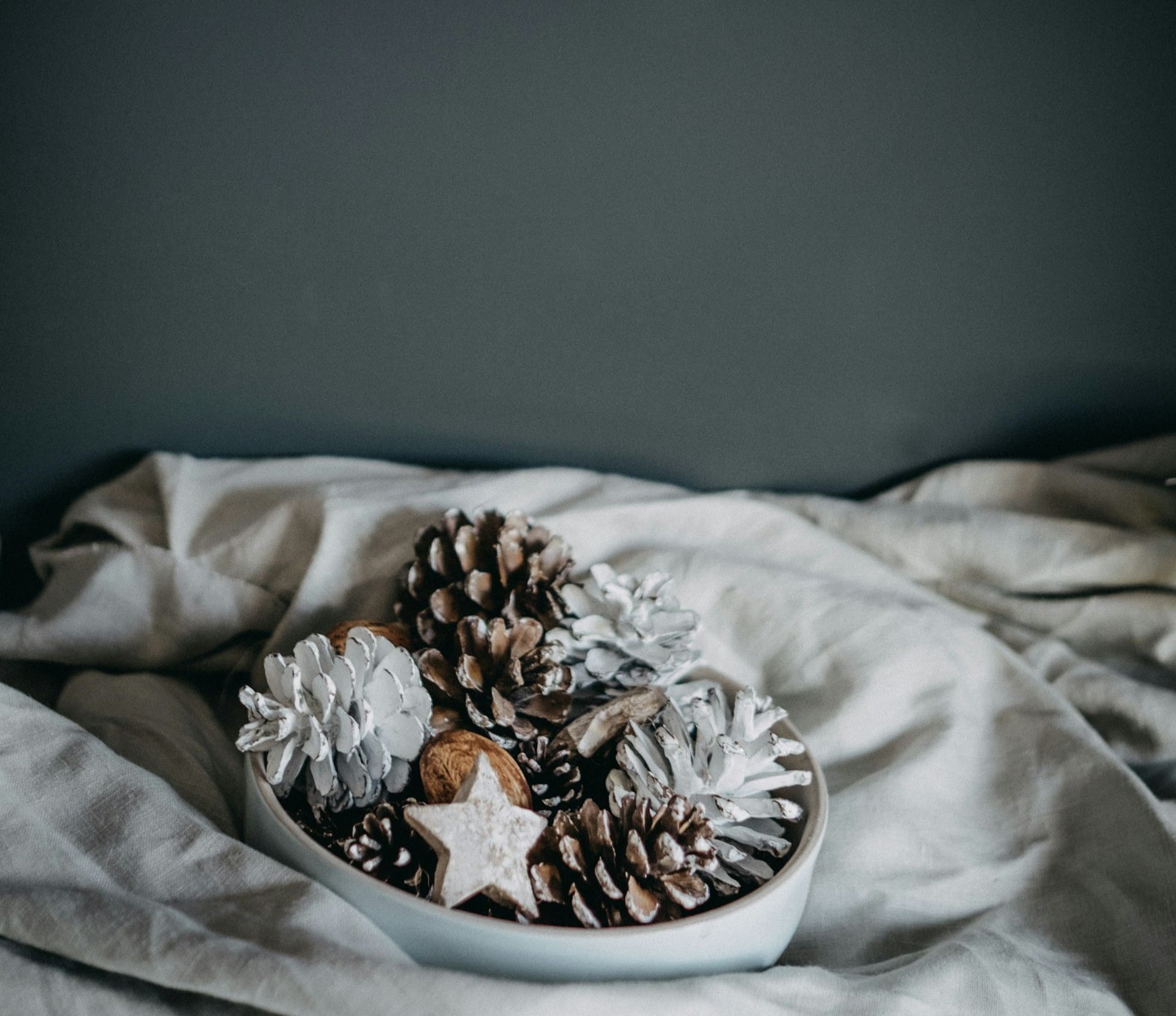 Un plat blanc peu profond contient des pommes de pin, dont certaines sont peintes en blanc, ainsi qu'un ornement en forme d'étoile et des noix, le tout posé sur un tissu clair froissé sur fond gris foncé.